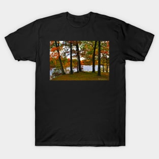 Murphysboro Lake (2) T-Shirt